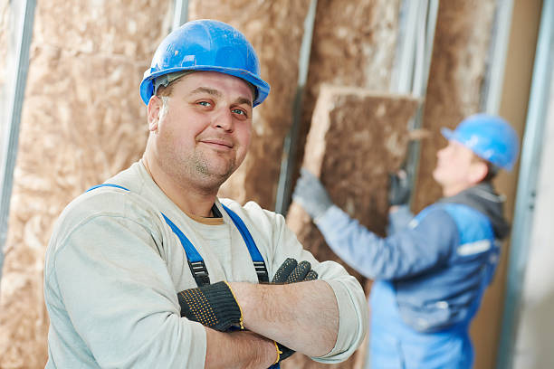 Best Basement Insulation  in Forest Lake, MN